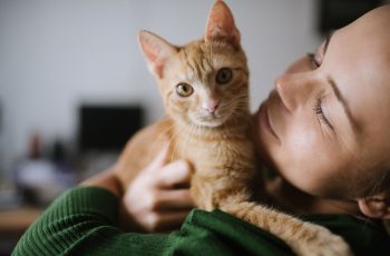 Descubra 5 técnicas para fotografia de pet
