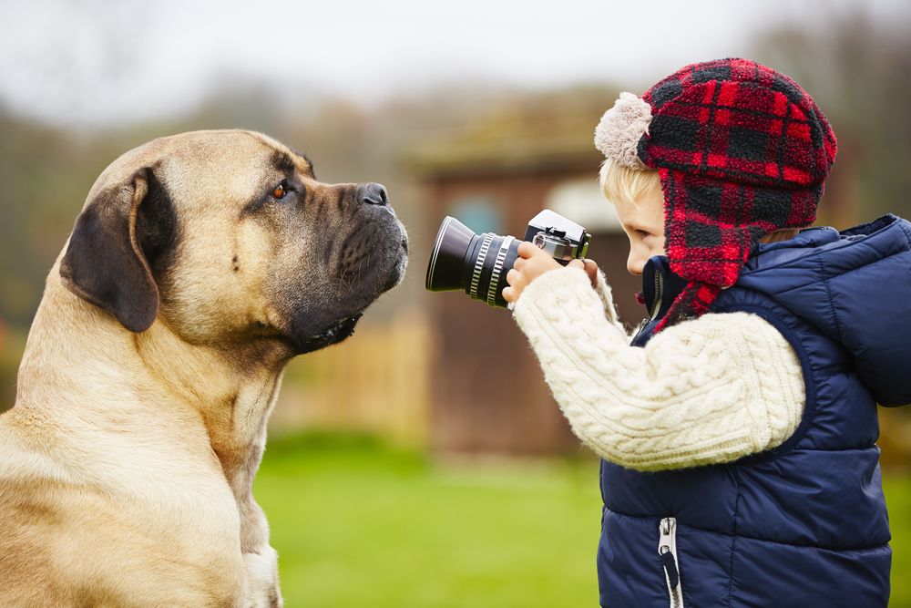 Veja essas 9 dicas de como fotografar melhor animais de estimação