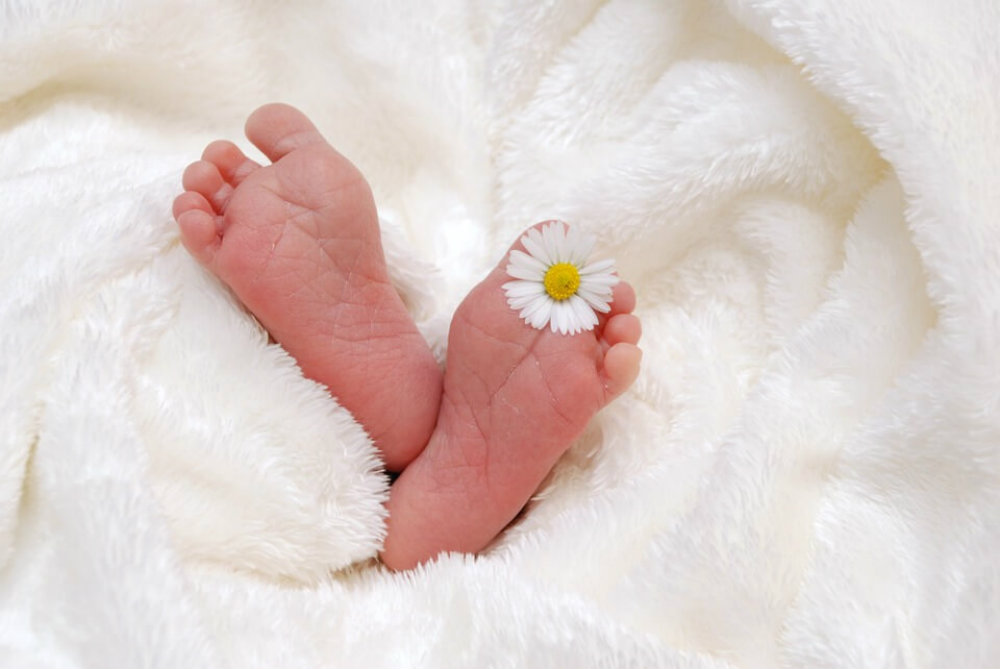 Veja as melhores ideias para álbum de fotos newborn